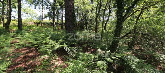 Земельный участок 4980м² в Аркуш ди Валдевеш, Португалия № 57795 21