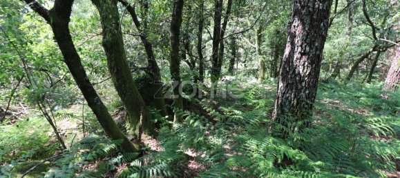 Земельный участок 4980м² в Аркуш ди Валдевеш, Португалия № 57795 22