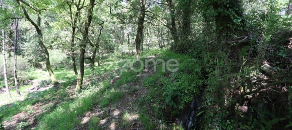 Земельный участок 4980м² в Аркуш ди Валдевеш, Португалия № 57795 18