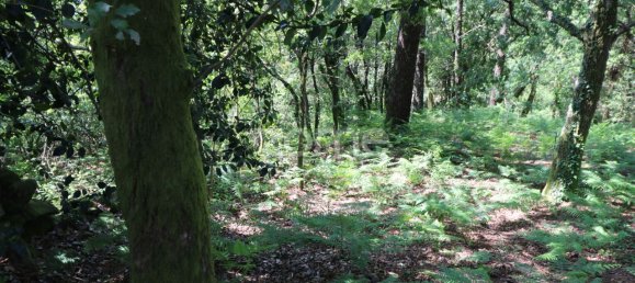 Земельный участок 4980м² в Аркуш ди Валдевеш, Португалия № 57795 23