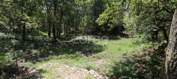 Земельный участок 4980м² в Аркуш ди Валдевеш, Португалия № 57795 5