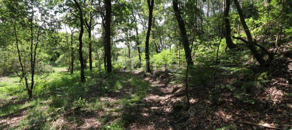 Земельный участок 4980м² в Аркуш ди Валдевеш, Португалия № 57795 9