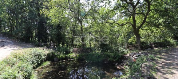 Земельный участок 4980м² в Аркуш ди Валдевеш, Португалия № 57795 4