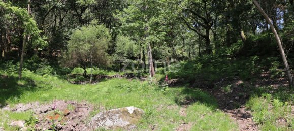 Земельный участок 4980м² в Аркуш ди Валдевеш, Португалия № 57795 15