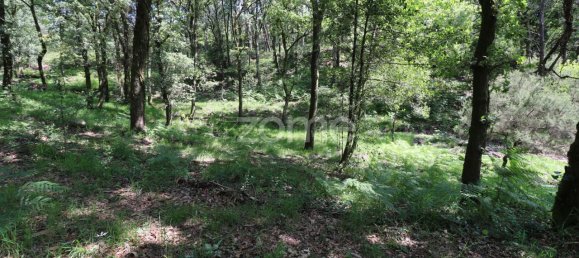 Земельный участок 4980м² в Аркуш ди Валдевеш, Португалия № 57795 10