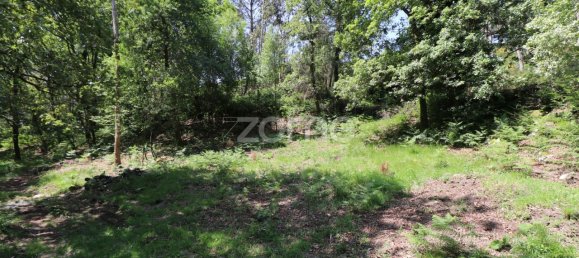 Земельный участок 4980м² в Аркуш ди Валдевеш, Португалия № 57795 7