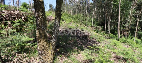 Земельный участок 4980м² в Аркуш ди Валдевеш, Португалия № 57795 12