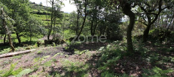 Земельный участок 4980м² в Аркуш ди Валдевеш, Португалия № 57795 13