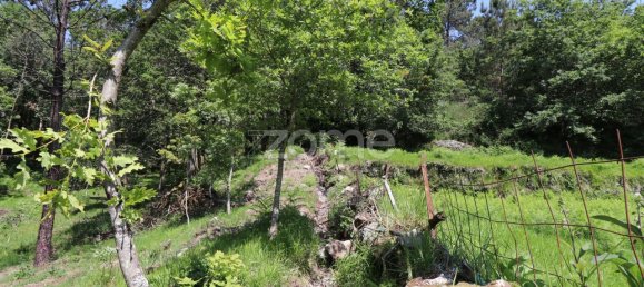 Земельный участок 4980м² в Аркуш ди Валдевеш, Португалия № 57795 16