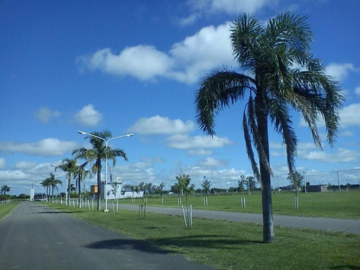  Land in Santa Fe, Argentina No. 31083