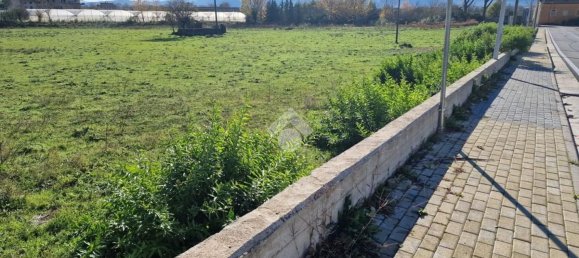 3680m² Land in Bonea, Italy No. 31951 17