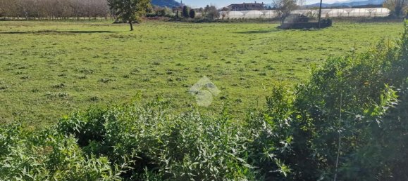 3680m² Land in Bonea, Italy No. 31951 12