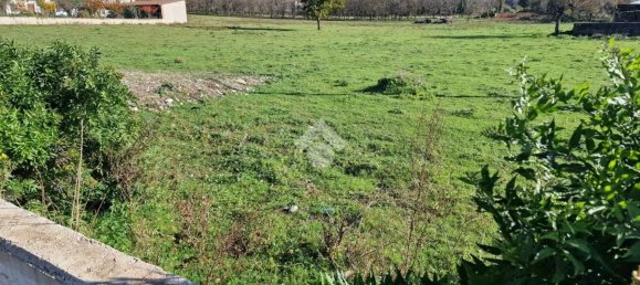 3680m² Land in Bonea, Italy No. 31951 5