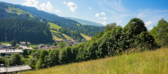 Land in Kirchberg in Tirol, Austria No. 212830 6