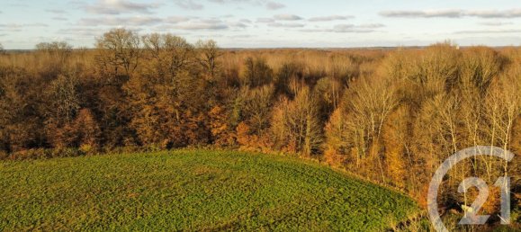 2 bedrooms House in Esternay, France No. 47985 17