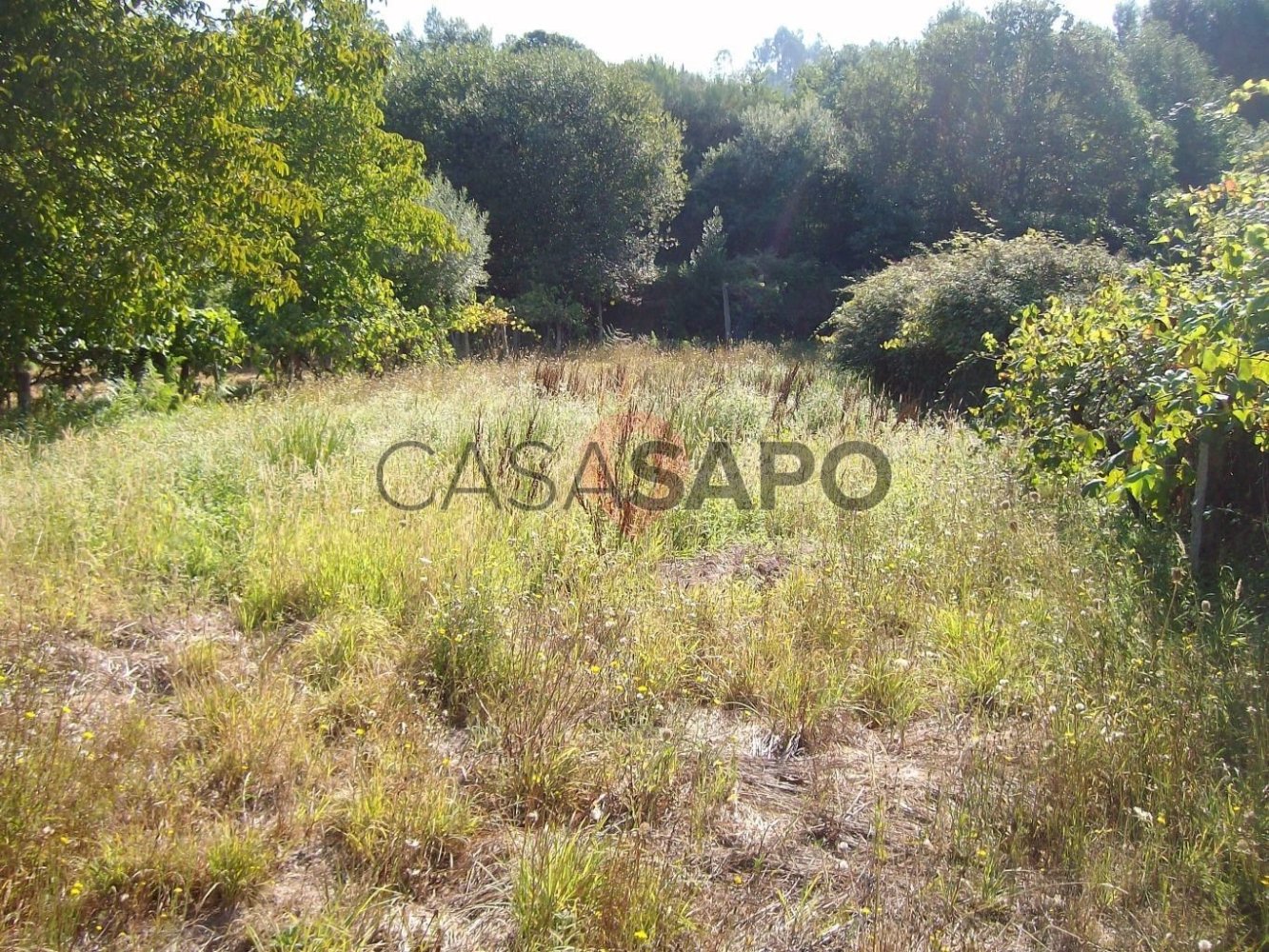  Land in Melgaco, Portugal No. 328008