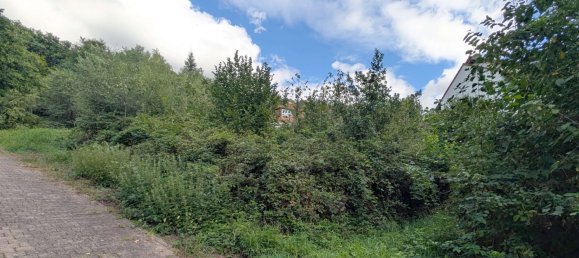 Terreno en Baden-Wurttemberg, Germany No. 277375 3