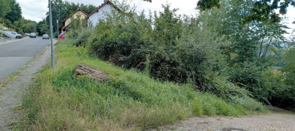 Terreno en Baden-Wurttemberg, Germany No. 277375 2