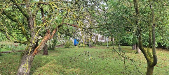 6 rooms House in Prinzersdorf, Austria No. 254060 7