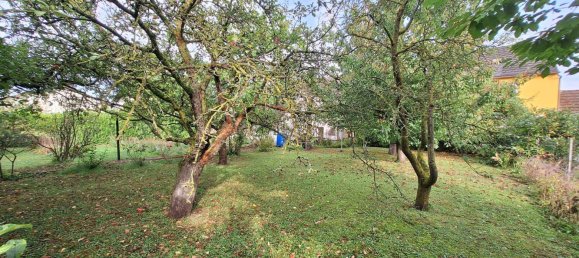 6 rooms House in Prinzersdorf, Austria No. 254060 3