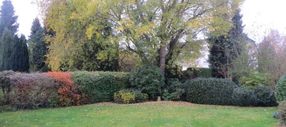 Дом с 4 спальнями в Нойвид, Германия № 300450 2