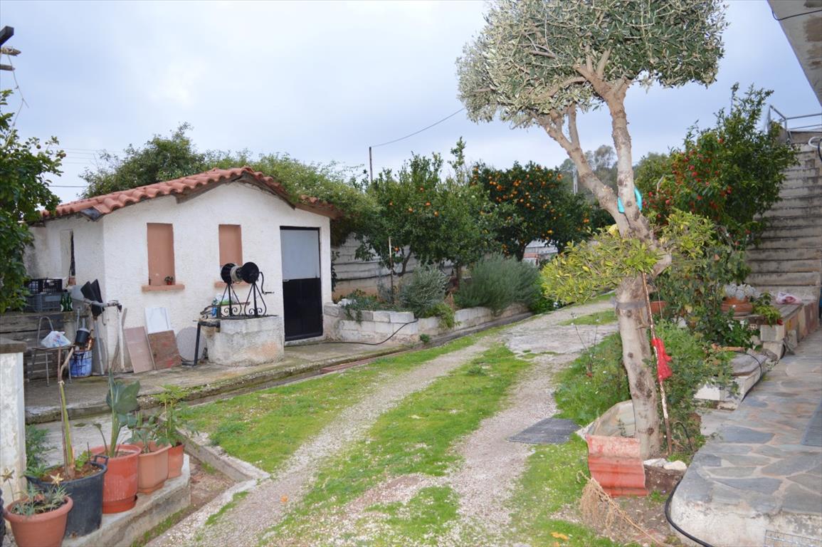 3 chambres propriété commerciale à vendre à Vari, Vari-Voula-Vouliagmeni, East Attica, Attica, Greece № 5883