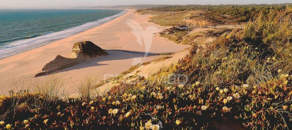 3 bedrooms House in Sesimbra, Portugal No. 26612 24