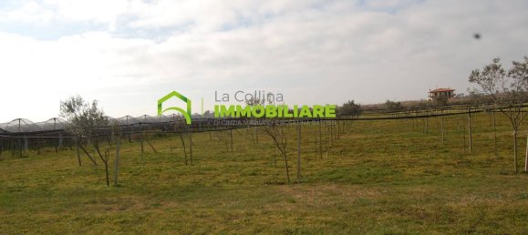 27500m² Land in Cisterna di Latina, Italy No. 213899 14