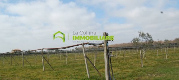 27500m² Land in Cisterna di Latina, Italy No. 213899 22