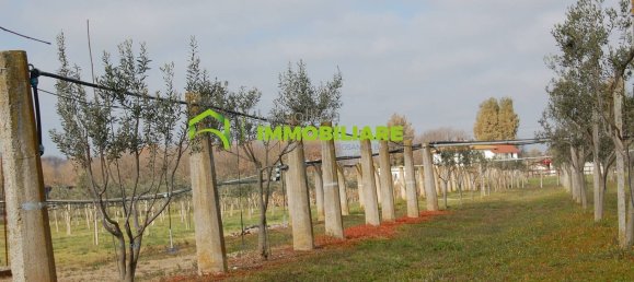 27500m² Land in Cisterna di Latina, Italy No. 213899 15