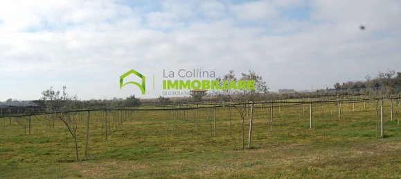 27500m² Land in Cisterna di Latina, Italy No. 213899 2