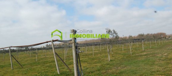 27500m² Land in Cisterna di Latina, Italy No. 213899 20