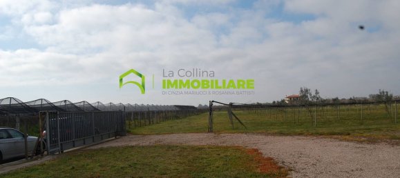 27500m² Land in Cisterna di Latina, Italy No. 213899 17