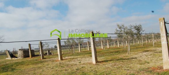 27500m² Land in Cisterna di Latina, Italy No. 213899 8
