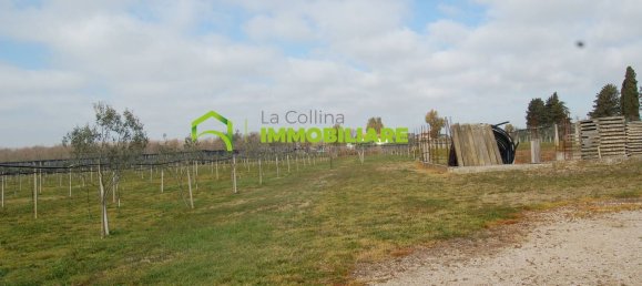 27500m² Land in Cisterna di Latina, Italy No. 213899 6