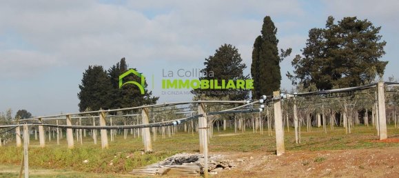 27500m² Land in Cisterna di Latina, Italy No. 213899 10