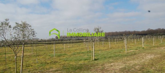 27500m² Land in Cisterna di Latina, Italy No. 213899 12
