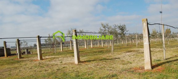 27500m² Land in Cisterna di Latina, Italy No. 213899 9
