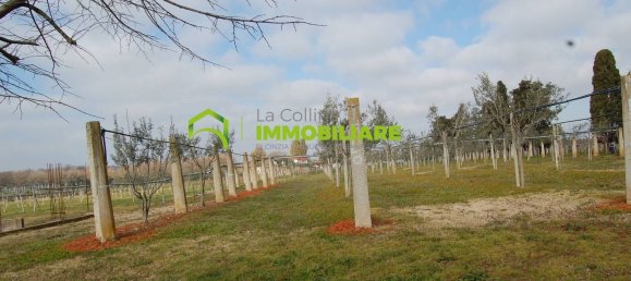 27500m² Land in Cisterna di Latina, Italy No. 213899 5
