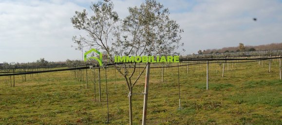 27500m² Land in Cisterna di Latina, Italy No. 213899 11