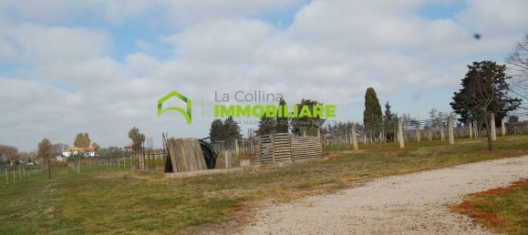 27500m² Land in Cisterna di Latina, Italy No. 213899 23