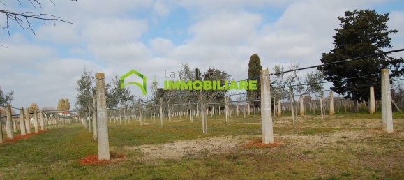 27500m² Land in Cisterna di Latina, Italy No. 213899 16