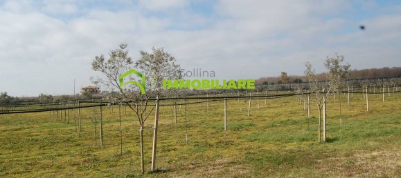27500m² Land in Cisterna di Latina, Italy No. 213899 13