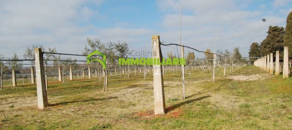 27500m² Land in Cisterna di Latina, Italy No. 213899 25