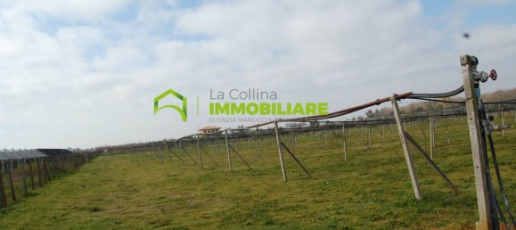 27500m² Land in Cisterna di Latina, Italy No. 213899 21