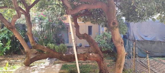 5 rooms House in Verona, Italy No. 273136 18