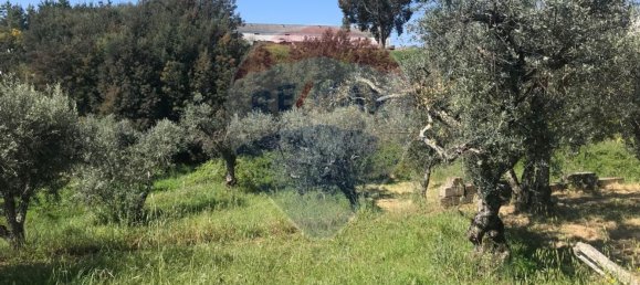  قطعة أرض في Covilha, Portugal 1000متر مربع رقم 70833 3