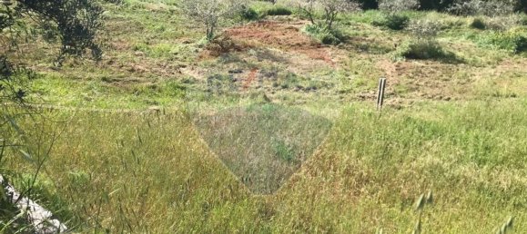  قطعة أرض في Covilha, Portugal 1000متر مربع رقم 70833 9