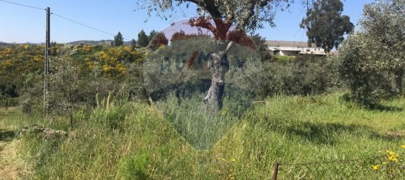  قطعة أرض في Covilha, Portugal 1000متر مربع رقم 70833 13