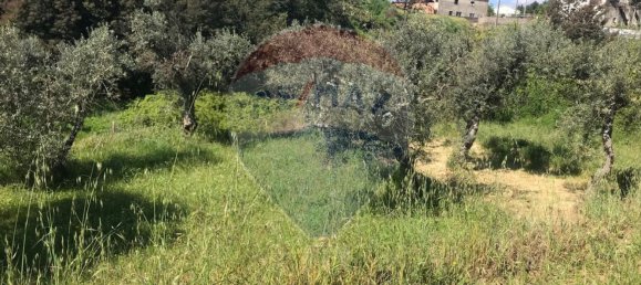  قطعة أرض في Covilha, Portugal 1000متر مربع رقم 70833 5